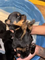 processed/f0bbc54c-6282-4265-8d58-722429c064b4/listing/3b1d34de-0477-4235-b339-6dd8702e0c0d/3dca64c2-1d75-4d4e-8e1f-568aa05efb2f