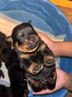 processed/f0bbc54c-6282-4265-8d58-722429c064b4/listing/3b1d34de-0477-4235-b339-6dd8702e0c0d/8aefbafd-8711-4659-9246-6f1bdcf6705f