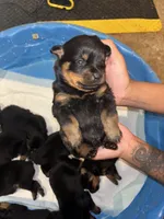 processed/f0bbc54c-6282-4265-8d58-722429c064b4/listing/3b1d34de-0477-4235-b339-6dd8702e0c0d/fdd1a637-f9ac-4ba4-afe2-1b2c05e4ae8e