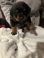 processed/f0bbc54c-6282-4265-8d58-722429c064b4/listing/aaf53064-ee09-4bb3-8148-3067ba69a527/9cec873b-14fd-4a87-b735-81c53447709e