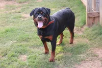 processed/f0bbc54c-6282-4265-8d58-722429c064b4/listing/da4afa11-d0ed-4a2e-80b7-aaa9f9819e3b/42f18eca-54ec-4c8b-bfca-51dd8202e951