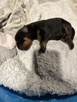 processed/f0bbc54c-6282-4265-8d58-722429c064b4/listing/da4afa11-d0ed-4a2e-80b7-aaa9f9819e3b/ea077f89-90fb-4fde-a80b-7f0c6ce33a11