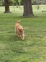 processed/f0bd21ab-738f-4bf1-a1a2-7b338f1b2074/facility/1ab8cd60-2ef4-4f99-b768-82a9b0e63a5a