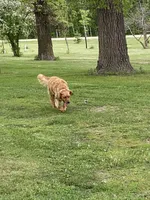 processed/f0bd21ab-738f-4bf1-a1a2-7b338f1b2074/facility/af6b7105-0d4b-4691-920b-d5896528ea9b