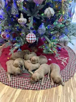 processed/f0bd21ab-738f-4bf1-a1a2-7b338f1b2074/listing/313cc600-dd9e-4b1d-a28e-4d0b87438ff8/0461c0dc-e0a9-4d2d-9063-8965061e2c60