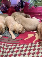 processed/f0bd21ab-738f-4bf1-a1a2-7b338f1b2074/listing/313cc600-dd9e-4b1d-a28e-4d0b87438ff8/12363698-0e0d-4740-9ae4-2d72e1322f9a