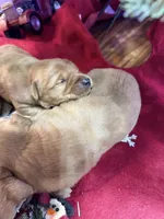 processed/f0bd21ab-738f-4bf1-a1a2-7b338f1b2074/listing/313cc600-dd9e-4b1d-a28e-4d0b87438ff8/fc6e65ca-bacc-49bf-af61-41b9157c401f