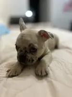 processed/f0c08839-9827-4230-8dd6-d576f27f193f/listing/a284a90c-d4d6-4ef3-ae33-dc9b8de4a8f5/40d80cdb-43d2-4a4d-8d41-84ceaf60f0b4