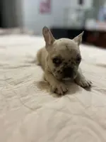 processed/f0c08839-9827-4230-8dd6-d576f27f193f/listing/a284a90c-d4d6-4ef3-ae33-dc9b8de4a8f5/57b50a48-fa17-4709-b540-63a6962f9457