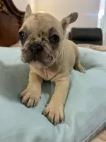 processed/f0c08839-9827-4230-8dd6-d576f27f193f/listing/a284a90c-d4d6-4ef3-ae33-dc9b8de4a8f5/6fb73b12-2e32-4306-b0a1-4a2cb951ff4f