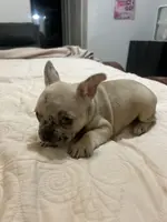 processed/f0c08839-9827-4230-8dd6-d576f27f193f/listing/a284a90c-d4d6-4ef3-ae33-dc9b8de4a8f5/ea193ca7-7c92-46b7-a164-c548ae806e04