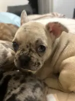 processed/f0c08839-9827-4230-8dd6-d576f27f193f/listing/a284a90c-d4d6-4ef3-ae33-dc9b8de4a8f5/ebcda7e1-cb1c-48fb-a688-b13811532e53