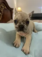 processed/f0c08839-9827-4230-8dd6-d576f27f193f/listing/a284a90c-d4d6-4ef3-ae33-dc9b8de4a8f5/f1e26a39-6d23-4c8c-93ca-cd287d987b8f