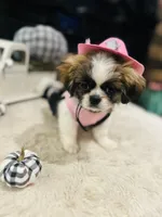 processed/f0c08839-9827-4230-8dd6-d576f27f193f/listing/d6dec546-3a88-44e4-977c-82f657212387/07432125-711b-4f7d-9434-c77fa0d72de4