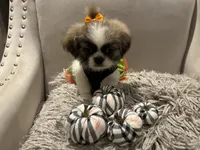 processed/f0c08839-9827-4230-8dd6-d576f27f193f/listing/d6dec546-3a88-44e4-977c-82f657212387/2ee08069-c64c-47fe-b926-6e38d4df3a2d