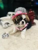 processed/f0c08839-9827-4230-8dd6-d576f27f193f/listing/d6dec546-3a88-44e4-977c-82f657212387/39ad0f28-6dfb-414e-882d-7c2373950ae5