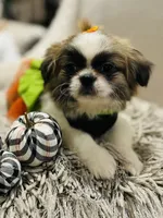 processed/f0c08839-9827-4230-8dd6-d576f27f193f/listing/d6dec546-3a88-44e4-977c-82f657212387/df68db40-b740-46bc-8910-dc6e9b134270