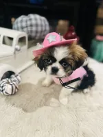 processed/f0c08839-9827-4230-8dd6-d576f27f193f/listing/d6dec546-3a88-44e4-977c-82f657212387/fad5932c-7675-4851-95ec-eb94e75d5f2c