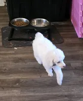 processed/f0c8e68f-0a4a-4f2c-8634-1e8e2716ef4b/listing/8ee0b425-18bc-432c-9ef2-61cbc5a96c86/35a395b3-2e6a-439d-aec1-4bf44ee6dc61