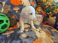 processed/f0c8e68f-0a4a-4f2c-8634-1e8e2716ef4b/listing/8ee0b425-18bc-432c-9ef2-61cbc5a96c86/d7f776c9-1772-4144-ae34-06bd34e7cc28