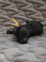 processed/f0c8e68f-0a4a-4f2c-8634-1e8e2716ef4b/listing/ac5c60ec-f409-4f5f-8185-06bdc253cf07/87a8ddb5-5a28-4332-a8fa-f59fb9e02a9a