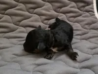 processed/f0c8e68f-0a4a-4f2c-8634-1e8e2716ef4b/listing/e2e557f4-8cd6-49ed-87b5-c3ad7a232846/868c6bba-969b-42fa-af7a-30da644e751a