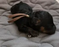 processed/f0c8e68f-0a4a-4f2c-8634-1e8e2716ef4b/listing/e2e557f4-8cd6-49ed-87b5-c3ad7a232846/ce40d373-f635-4d29-8532-4f8f7f2d50fa