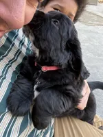 processed/f0d23c5d-0b89-4538-98e8-d551e0e6cc33/listing/2746e101-6a47-408e-9f2d-0227e84ef944/2ebdc987-94ae-41eb-9bb4-88e5bbe382c6