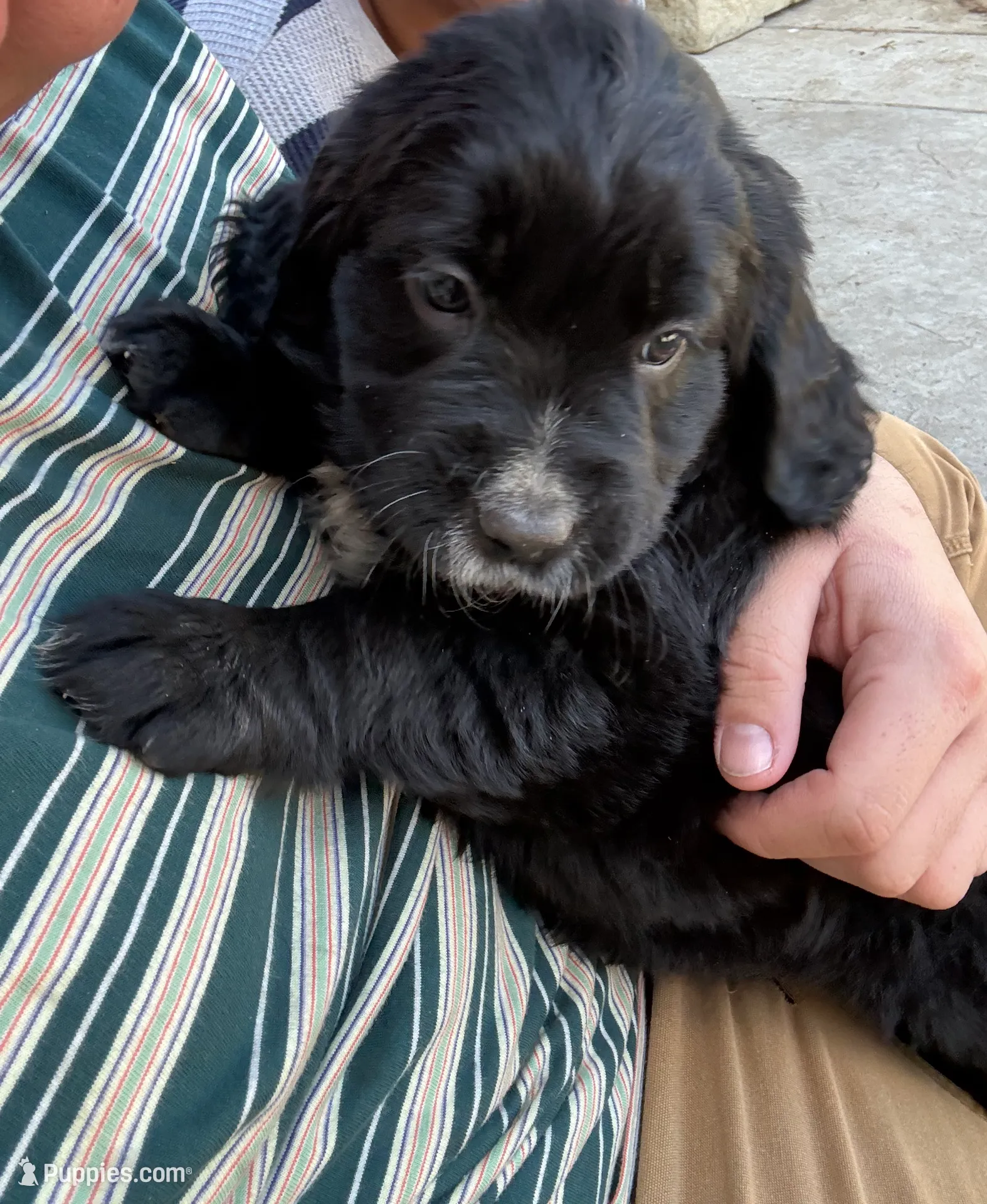 processed/f0d23c5d-0b89-4538-98e8-d551e0e6cc33/listing/2746e101-6a47-408e-9f2d-0227e84ef944/76a19b44-649c-443d-8a67-6edb6cad9939