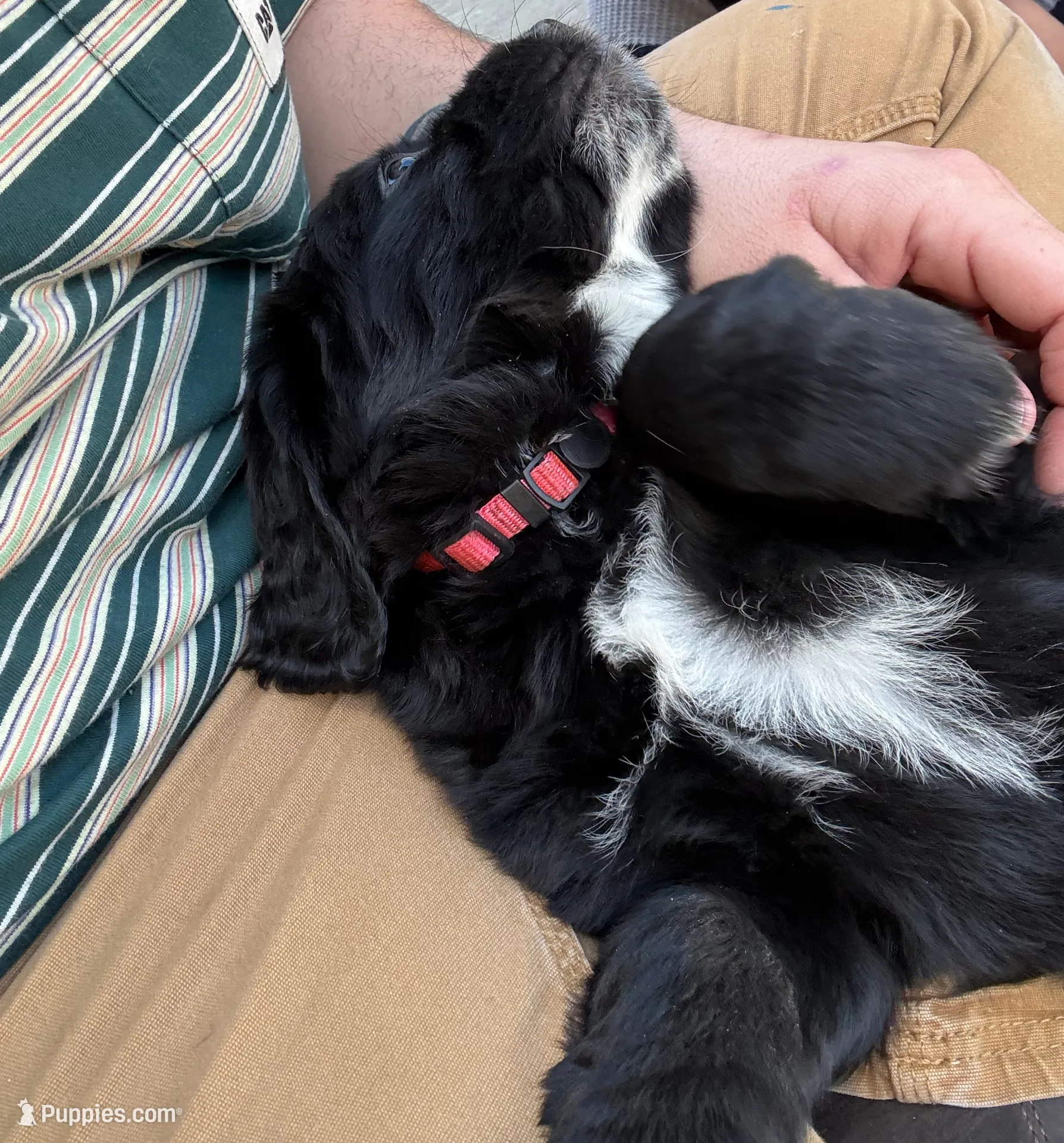 processed/f0d23c5d-0b89-4538-98e8-d551e0e6cc33/listing/2746e101-6a47-408e-9f2d-0227e84ef944/8b0a3442-e0e1-4ce9-8d7b-b6c352132744