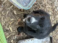 processed/f0d23c5d-0b89-4538-98e8-d551e0e6cc33/listing/2746e101-6a47-408e-9f2d-0227e84ef944/b7e318f5-b03e-4634-abc7-2be7ef8969c6