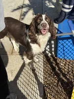 processed/f0d23c5d-0b89-4538-98e8-d551e0e6cc33/listing/2746e101-6a47-408e-9f2d-0227e84ef944/b89f5ecb-21dc-44ad-8183-4aff947e9afe