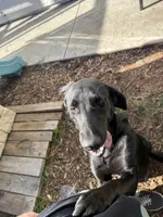 processed/f0d23c5d-0b89-4538-98e8-d551e0e6cc33/listing/2746e101-6a47-408e-9f2d-0227e84ef944/d318c82b-d4b4-4556-81c4-541007086d96