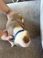 processed/f0d41be9-68d5-4828-a016-2656d4e64701/listing/936182c4-b8cd-4371-852d-dd749a2e583f/2456c7ed-b3f2-4a3b-9df4-0e9d1db7b403