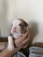 processed/f0d41be9-68d5-4828-a016-2656d4e64701/listing/936182c4-b8cd-4371-852d-dd749a2e583f/6ba891a8-e381-4de4-947f-fd9288d25ca8