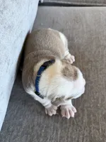 processed/f0d41be9-68d5-4828-a016-2656d4e64701/listing/936182c4-b8cd-4371-852d-dd749a2e583f/8bc93bb1-0e53-4adb-984d-4c170fa2a7f8