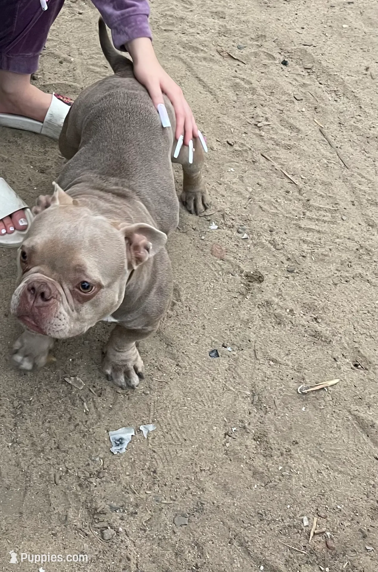 processed/f0d5eabd-fbeb-41f3-8e4f-fee355565ed3/listing/46da1dd9-dfbf-48db-bc7b-b240b9a9b446/1bd82224-fd22-40f4-b43c-dac1ec336fdb