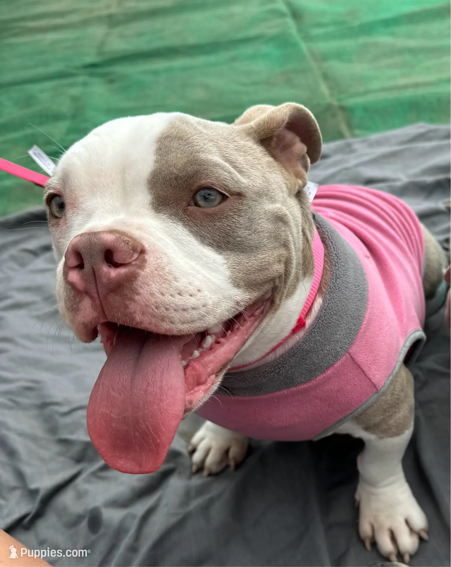 processed/f0d5eabd-fbeb-41f3-8e4f-fee355565ed3/listing/46da1dd9-dfbf-48db-bc7b-b240b9a9b446/2585e8cb-1a7c-4cac-9830-2eae5d731110