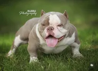 processed/f0d5eabd-fbeb-41f3-8e4f-fee355565ed3/listing/46da1dd9-dfbf-48db-bc7b-b240b9a9b446/45930335-792d-4cf8-9791-44a325858b7d