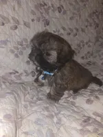 processed/f0f4275b-6167-4fa7-801b-6e8d732b393e/listing/510d3106-a308-415b-9e34-f28994fdf871/2019b42b-d894-4d20-ab17-80debb05338e