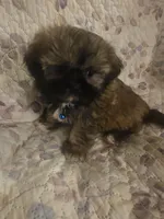 processed/f0f4275b-6167-4fa7-801b-6e8d732b393e/listing/510d3106-a308-415b-9e34-f28994fdf871/27ea93e0-c233-454d-95a1-a2bae0599e05