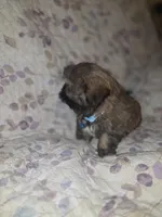 processed/f0f4275b-6167-4fa7-801b-6e8d732b393e/listing/510d3106-a308-415b-9e34-f28994fdf871/97513e2c-6b41-4c73-85c7-19d001adf8da