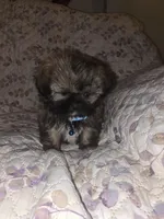 processed/f0f4275b-6167-4fa7-801b-6e8d732b393e/listing/510d3106-a308-415b-9e34-f28994fdf871/de4da66b-104c-4e8e-bf72-0fb3134fde65