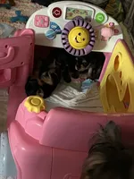 processed/f0f5b22b-40e6-4be8-9525-6a6e3c01d21e/facility/2f4a0c0f-a434-4f0d-a8f2-694882f67327