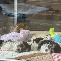 processed/f0f5b22b-40e6-4be8-9525-6a6e3c01d21e/facility/ba99a6d1-a81f-4c06-904e-1213a02ed03b