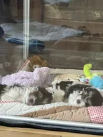 processed/f0f5b22b-40e6-4be8-9525-6a6e3c01d21e/facility/ba99a6d1-a81f-4c06-904e-1213a02ed03b