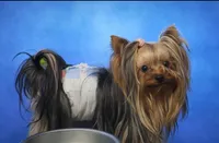 processed/f0f5b22b-40e6-4be8-9525-6a6e3c01d21e/facility/ca757e7f-c766-46df-954d-10e56fda51c5