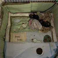 processed/f0f5b22b-40e6-4be8-9525-6a6e3c01d21e/facility/f2aa2a5d-49fb-4656-a4cc-82cf3c7cc33d