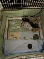 processed/f0f5b22b-40e6-4be8-9525-6a6e3c01d21e/facility/f2aa2a5d-49fb-4656-a4cc-82cf3c7cc33d