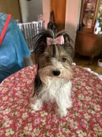 processed/f0f5b22b-40e6-4be8-9525-6a6e3c01d21e/listing/7d526427-0d89-4804-ba7c-9ffe426eae4b/1187abbf-09e2-4aa8-8f91-a16e07a479be